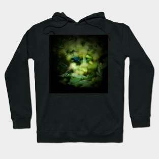 "D'ach Chi'n Credu Mewn Tylwyth Teg..?" - "Do You Believe In Fairies..?" Hoodie